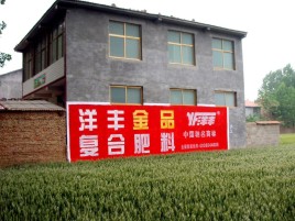 华宁如何让墙体广告展现最大化效果