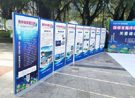 华宁KT板的种类和知识。